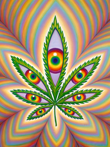 Higher Vision by Alex Grey (Unsigned)