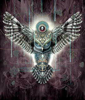 Owlage by Chris Saunders