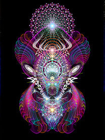 Xooligala by Samuel Farrand