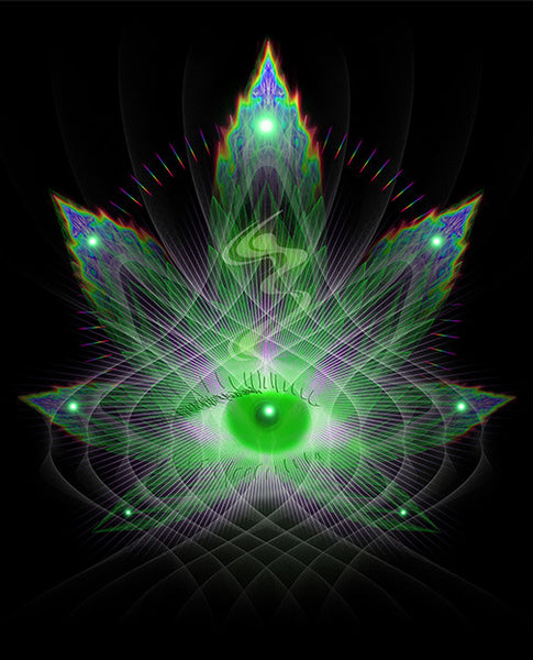 Spiritiva by Samuel Farrand